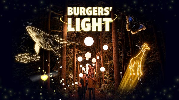 Lichtshow 'Burgers� Light' im Burgers' Zoo in Arnheim