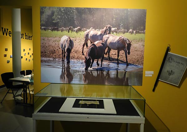 Ausstellung 'Geschichten aus dem Duisburger Wald' im Kultur- und Stadthistorischen Musuem in Duisburg