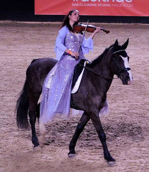 Messe 'Equitana' 2025 in der Messe Essen