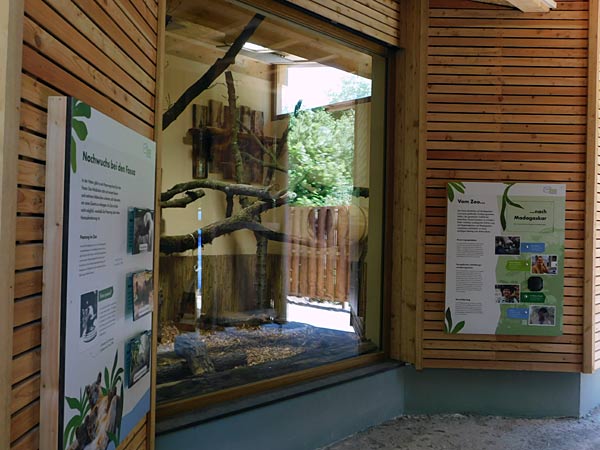 Neues Warmhaus für die Fossas im Zoo Duisburg
