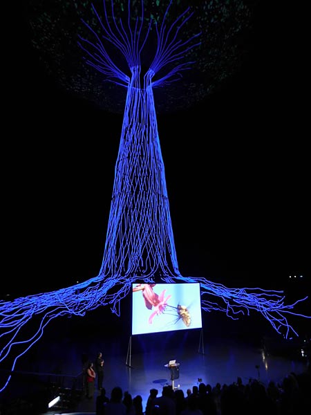 Vortrag zu 'Der Wald, das Klima und die Biodiversit&auml;t' von Jan Haft im Gasometer Oberhausen