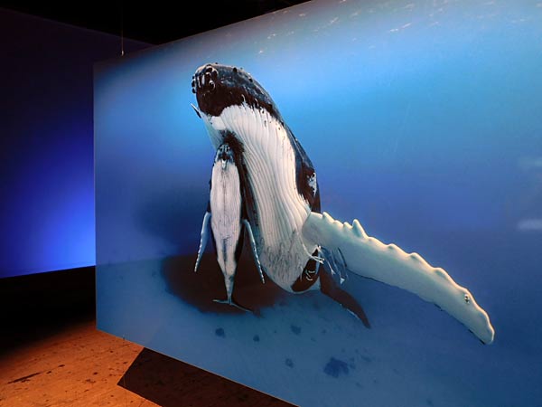 Vortrag 'Scharfzähnig und Flossenstark  Abenteuer Unterwasserfilm' von Christina Karliczek Skoglund im Gasometer Oberhausen