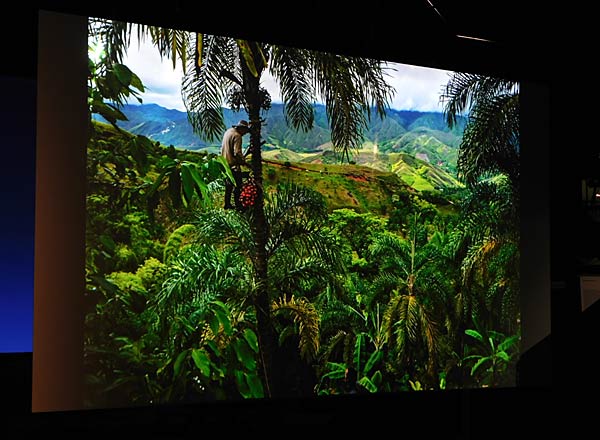 Ausstellung 'Mythos Wald' im Gasometer Oberhausen