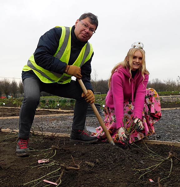 Pflanzung der ersten Rose im IGA-Zukunftsgarten Rheinpark in Duisburg durch die Steinfurther R&ouml;senk&ouml;nigin Theresa Hildebrand