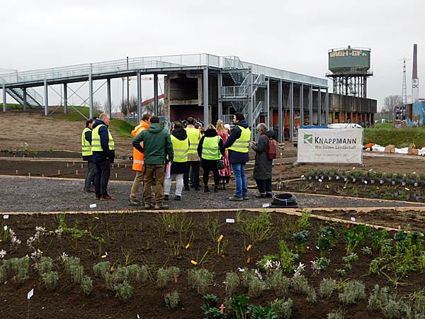 Pflanzung der ersten Rose im IGA-Zukunftsgarten Rheinpark in Duisburg durch die Steinfurther R&ouml;senk&ouml;nigin Theresa Hildebrand