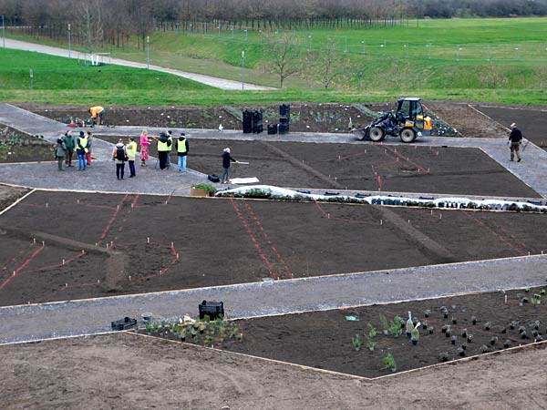 Pflanzung der ersten Rose im IGA-Zukunftsgarten Rheinpark in Duisburg durch die Steinfurther R&ouml;senk&ouml;nigin Theresa Hildebrand