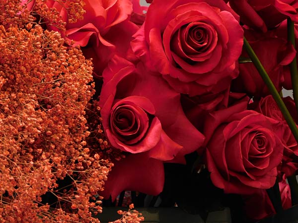 Messe 'IPM' 2026 in Essen