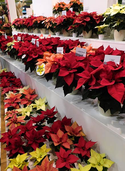 Messe 'IPM' 2026 in Essen