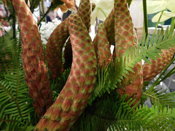 Messe 'IPM' 2026 in Essen