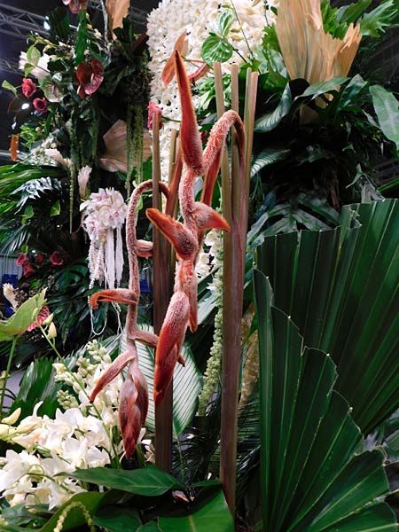 Messe 'IPM' 2026 in Essen