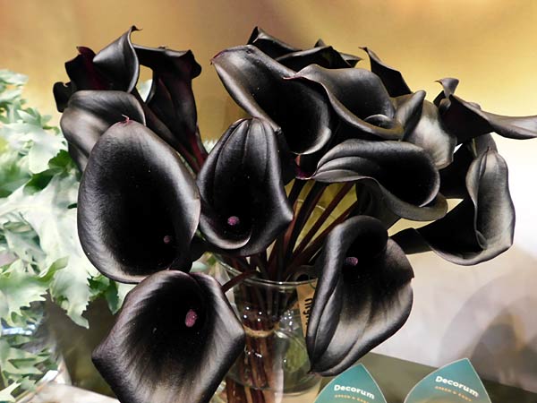 Messe 'IPM' 2026 in Essen