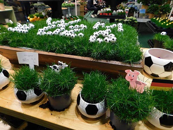 Messe 'IPM' 2026 in Essen