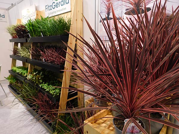 Messe 'IPM' 2026 in Essen