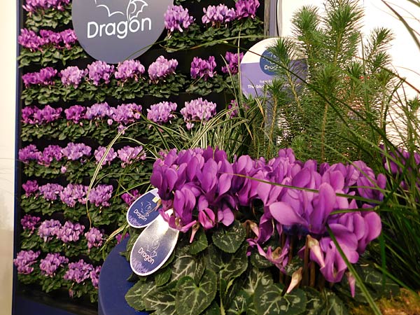 Messe 'IPM' 2026 in Essen