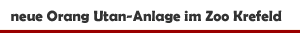 Vorstellung der neuen Orang Utan-Anlage im Zoo Krefeld