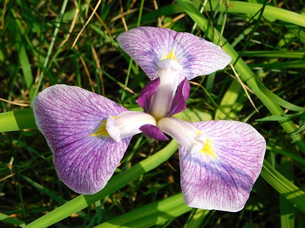 Landschaftspark Duisburg-Nord