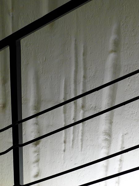 Führung durch das Musiktheater im Revier in Gelsenkirchen