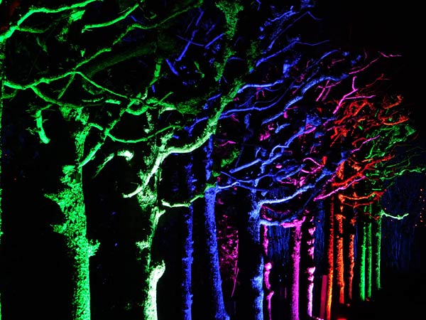 'Parkleuchten' 2026 im Grugapark Essen