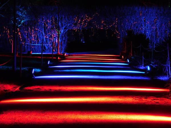 'Parkleuchten' 2026 im Grugapark Essen