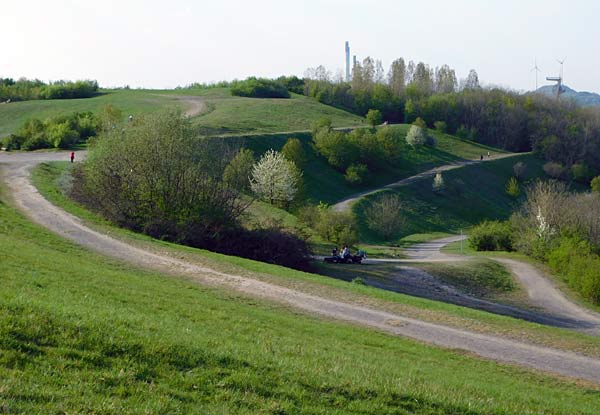 Halde Rungenberg in Gelsenkirchen mit der Schüngelbergsiedlung