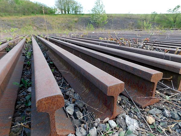 Halde Rungenberg in Gelsenkirchen mit der Sch&uuml;ngelbergsiedlung