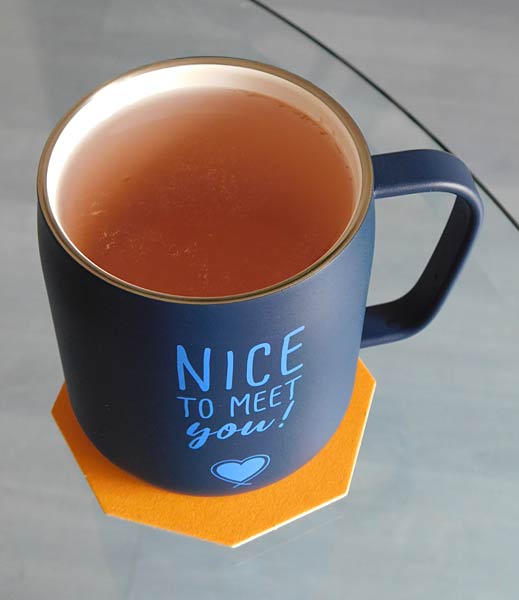 Test: Teaballs in verschiedenen Geschmacksrichtungens