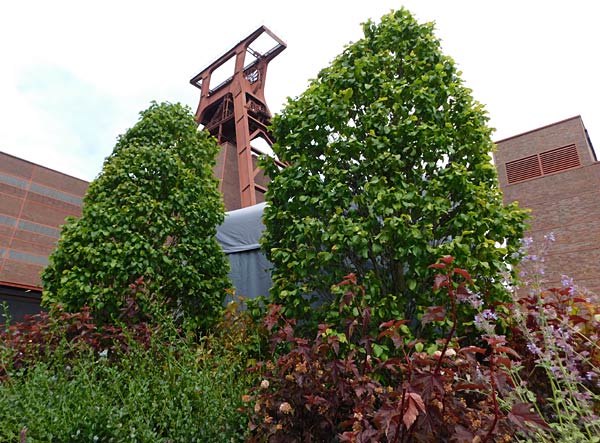 UNESCO-Welterbetag 2026 auf Zollverein