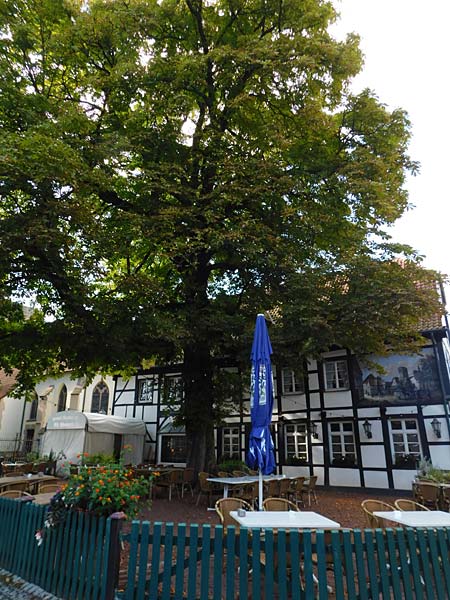 Altes Dorf Westerholt in Herten