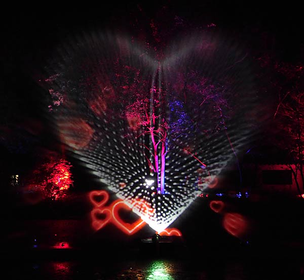 'Zoolichter' 2025 im Zoo Duisburg