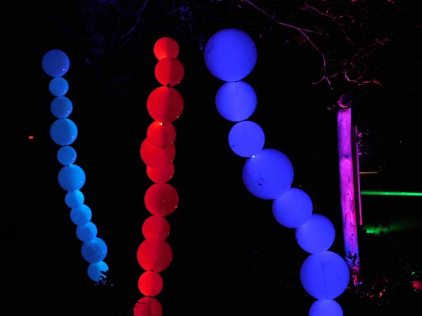 'Zoolichter' 2025 im Zoo Duisburg