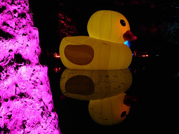 'Zoolichter' 2025 im Zoo Duisburg